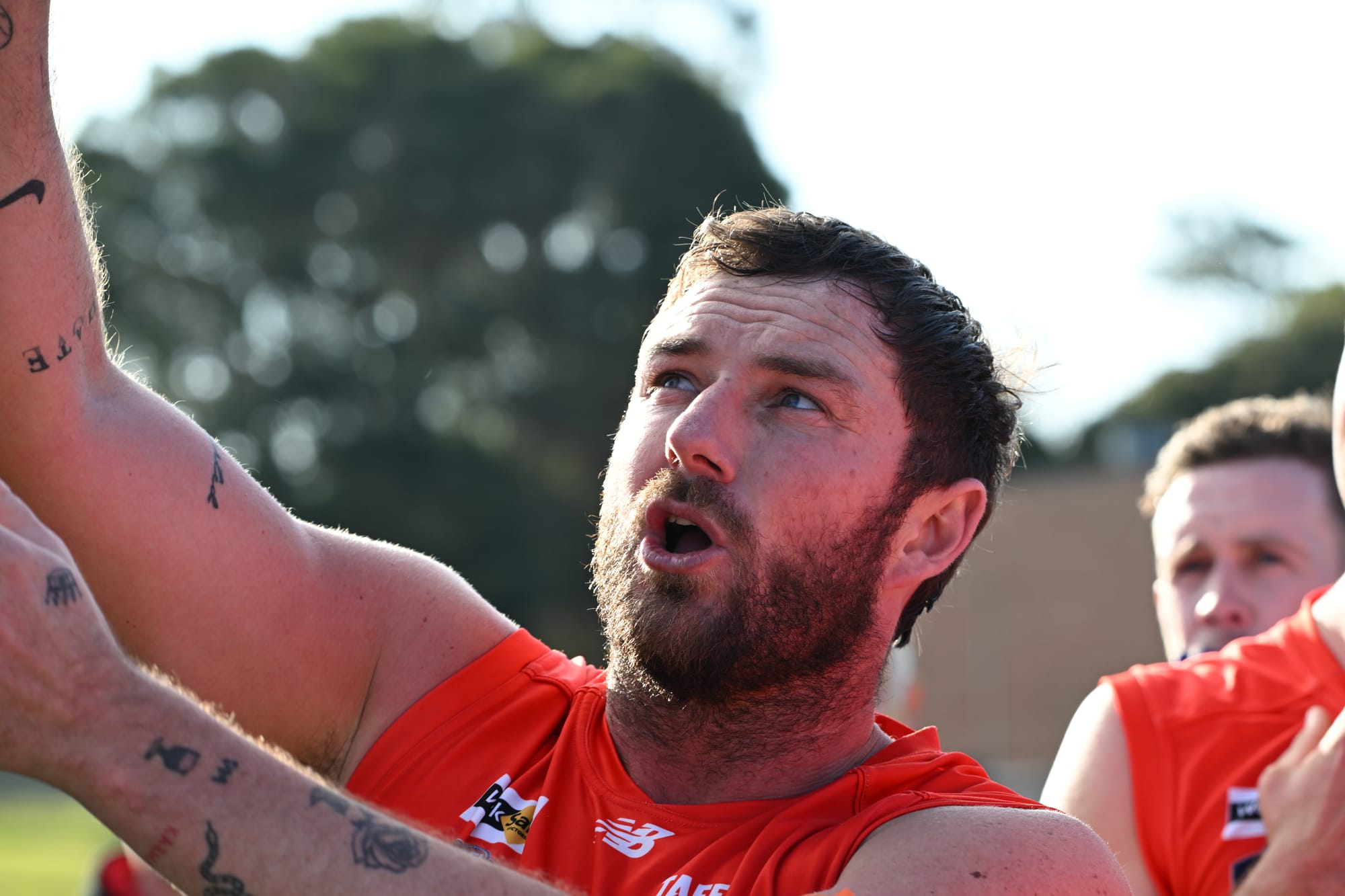 Five straight for Gulls