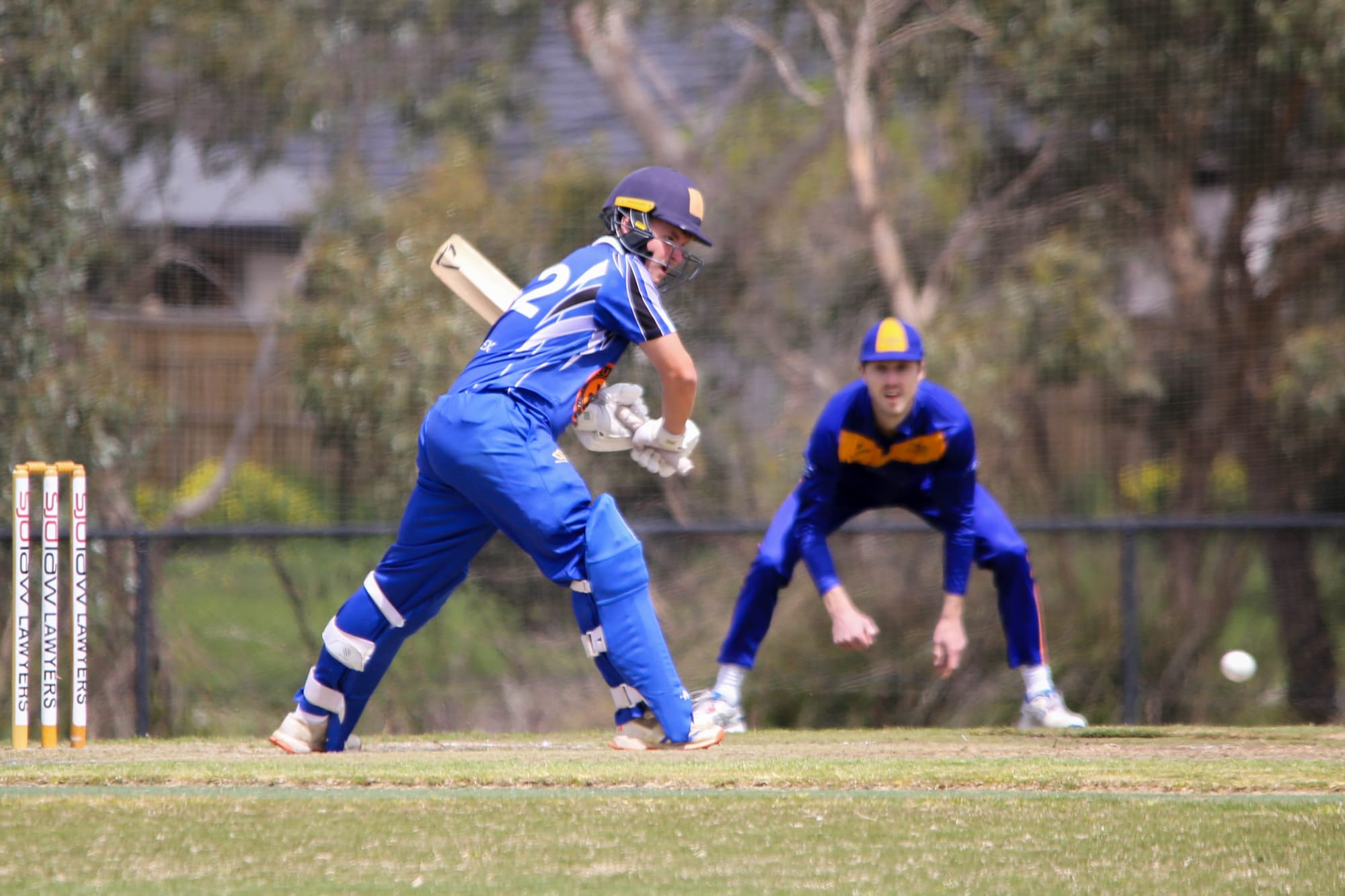 Cats claw Hawks in division one