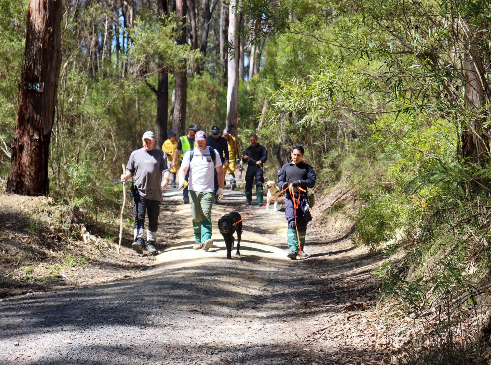 Found after three years