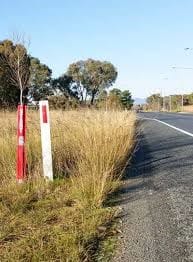 Funding to weed out fire risk