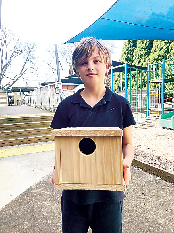 Above: Kelly Rippon-Milner with his bird house.Above right: Jasmine Olsson proudly displays her bird house.Right: Zayne Oldham, Jack Olsson and Angus Pollock made boot removers in the STEM shed.