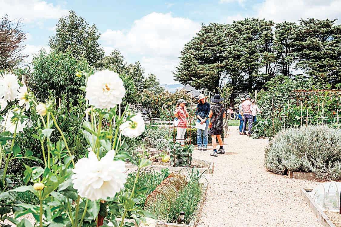 Explore local gardens this weekend