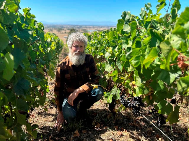 Bill Downie Wines - 18.03.2025