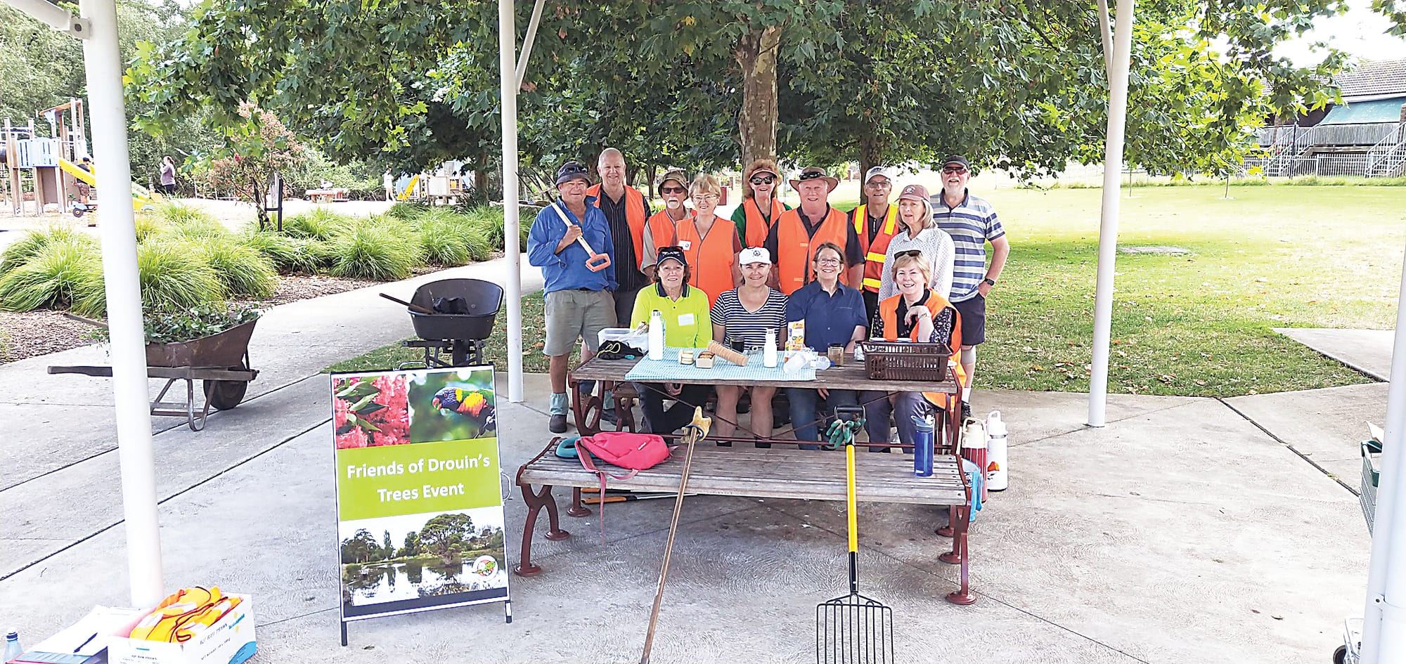 Volunteers needed for Friends of Drouin's Trees