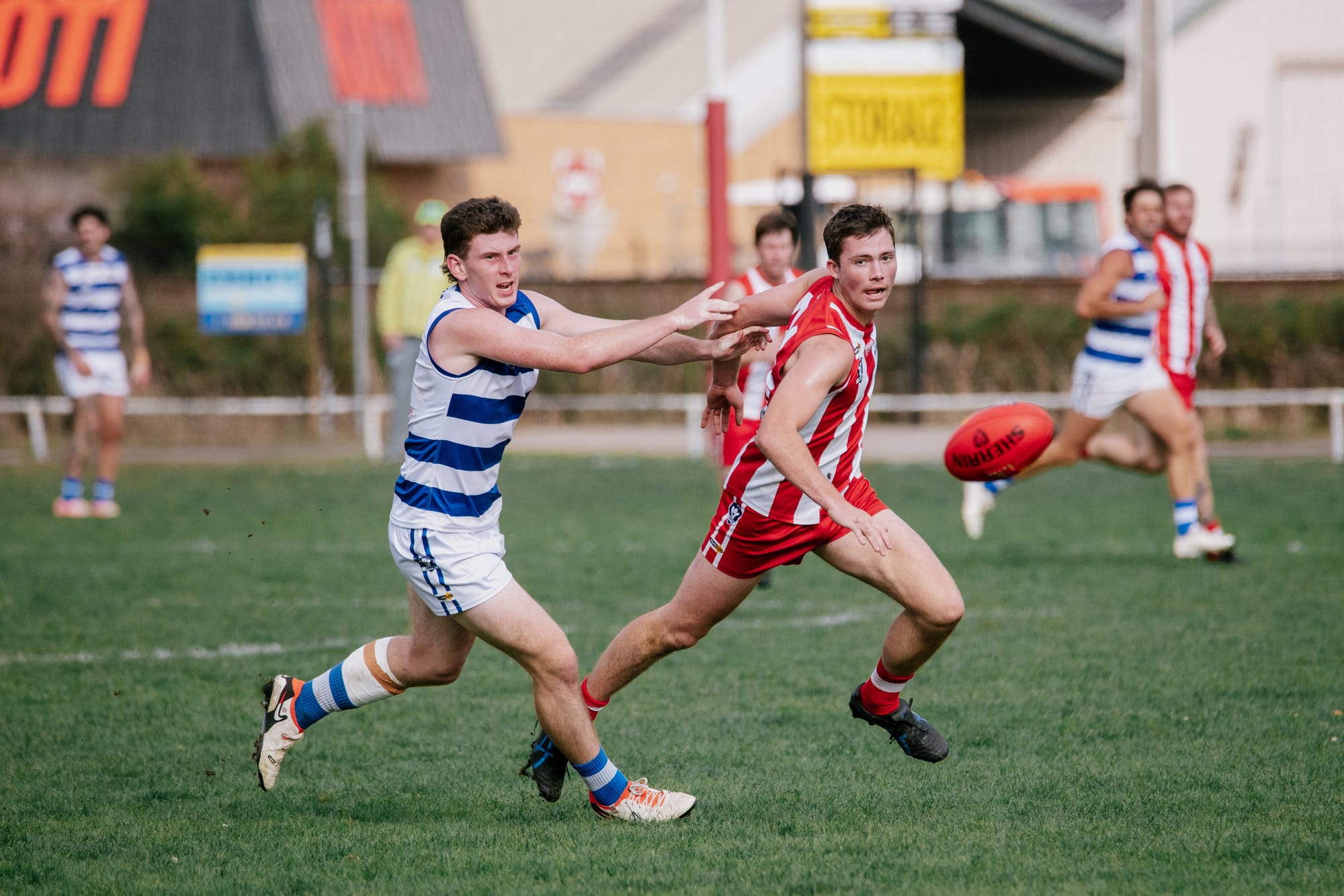 Can anyone topple the Cats?