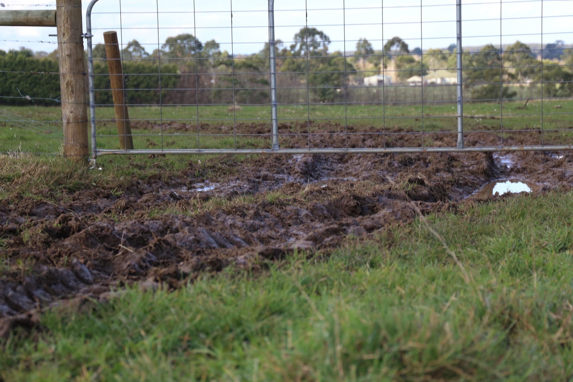 Farm safety: from paddock gate to the kitchen table