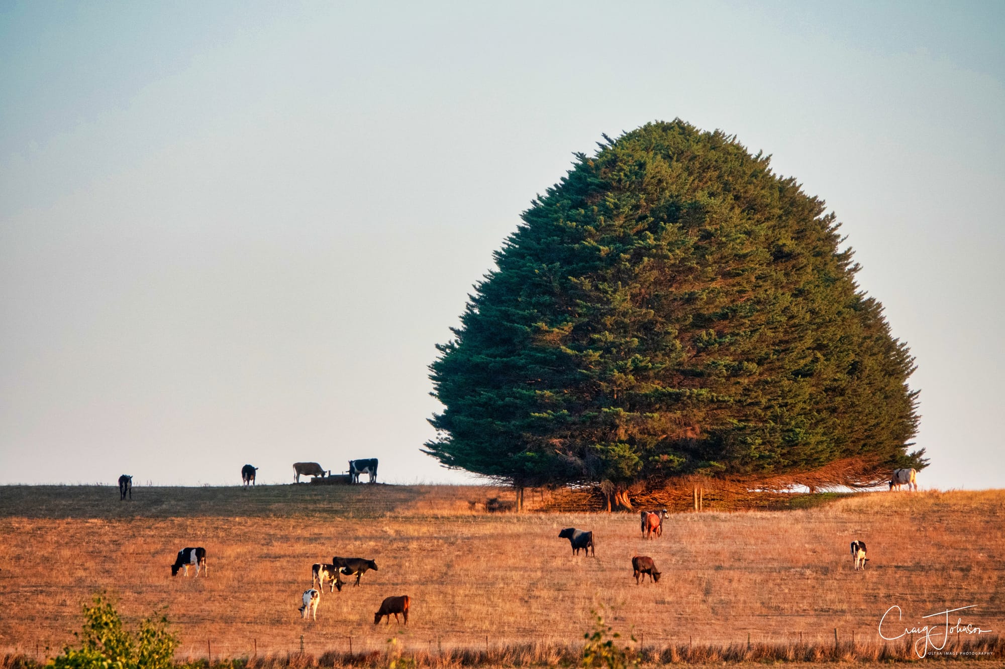 Drought support expanded