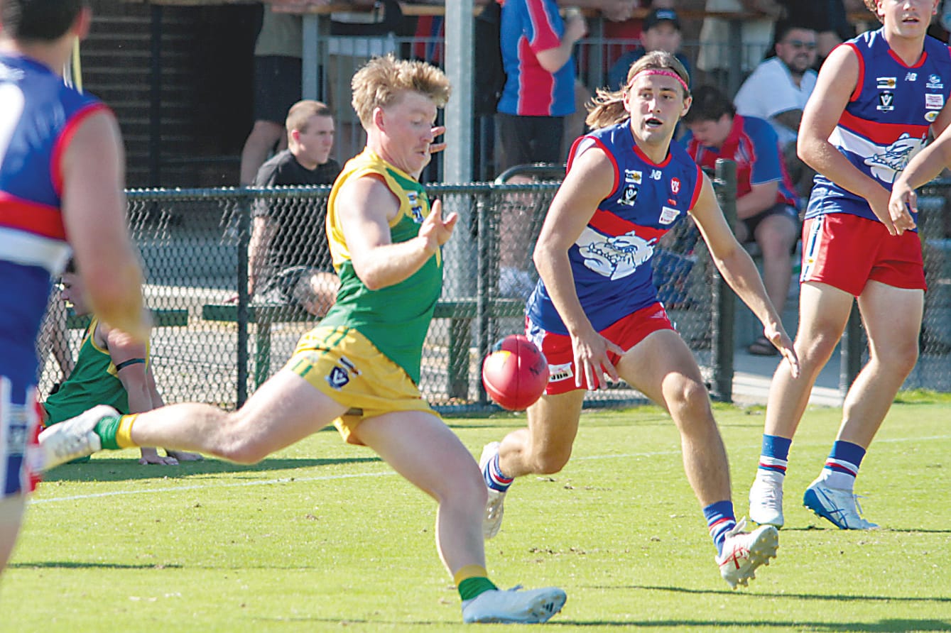 Stars suffer Bulldog mauling