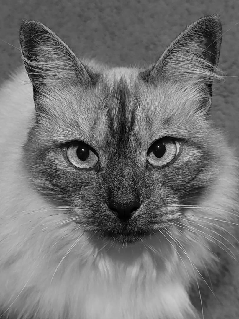 Exceptional photography