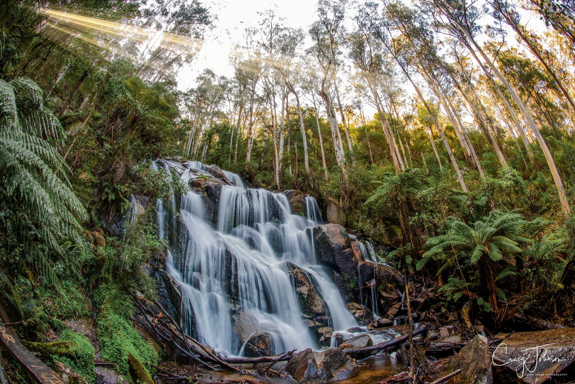 Kestigan to join Destination Gippsland