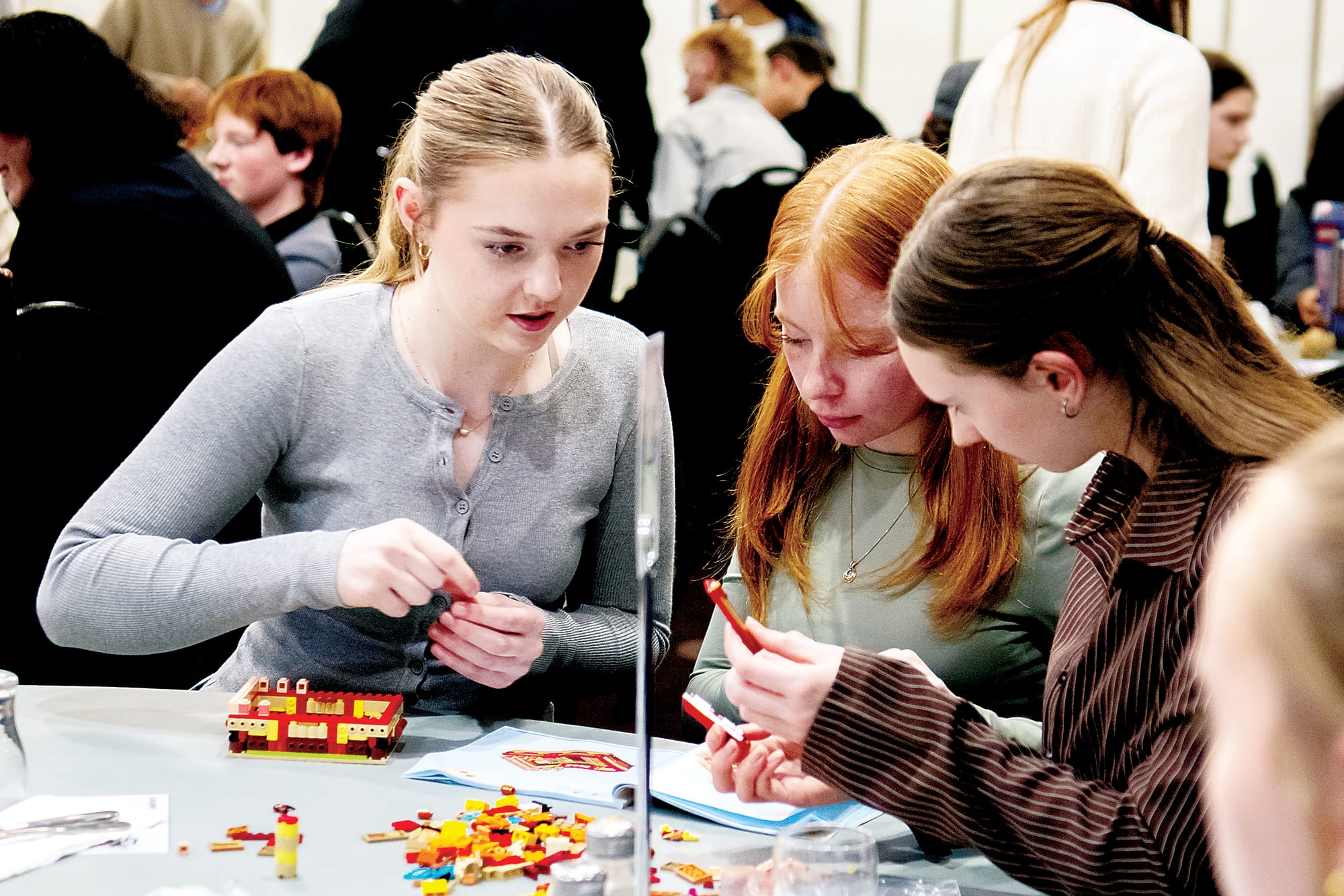 Setting a foundationfor future careers