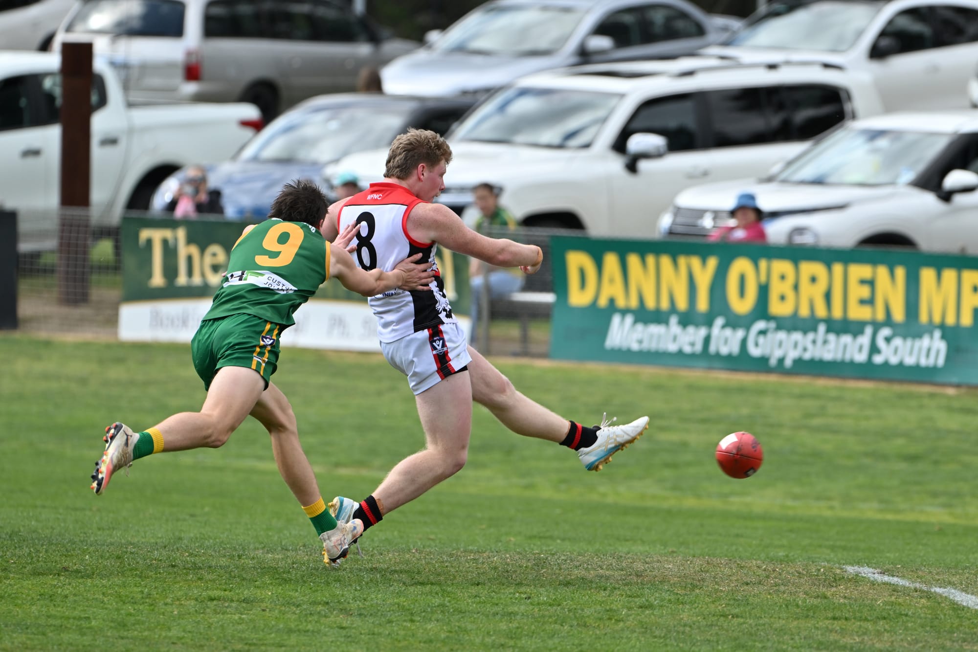 Gulls downed by wayward Parrots