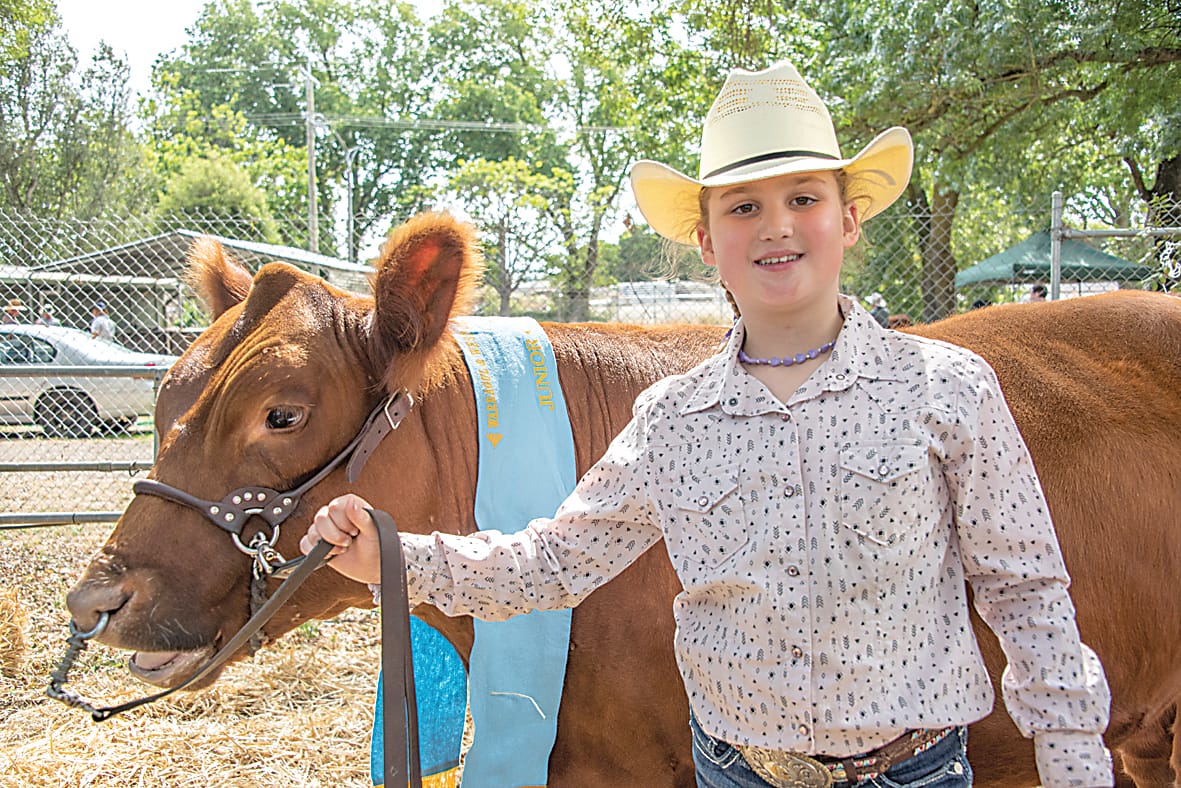 Cattle traditions continue