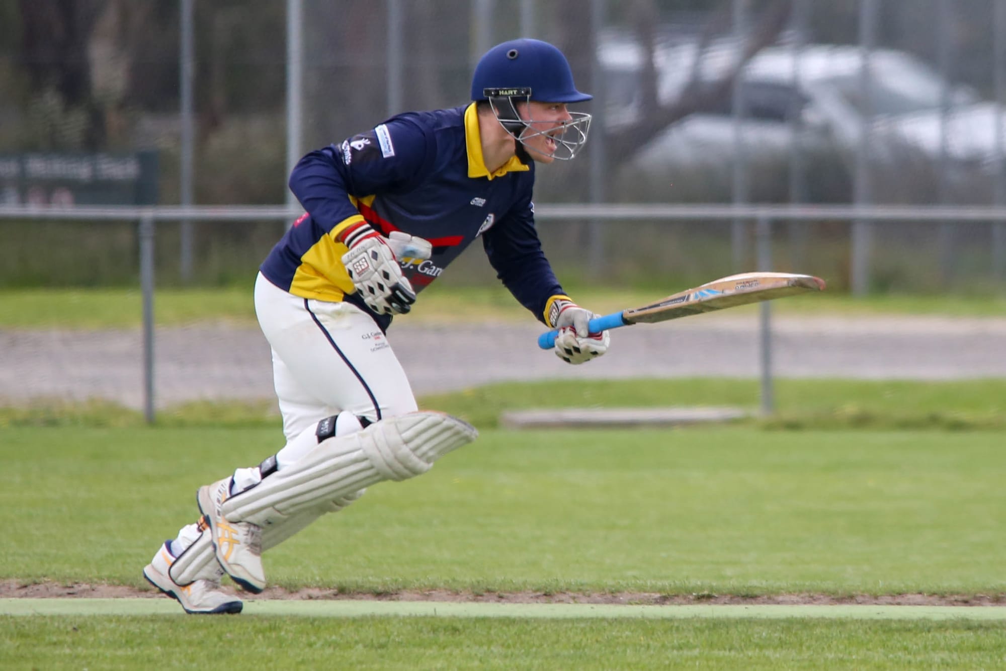 Cats by a whisker in division three