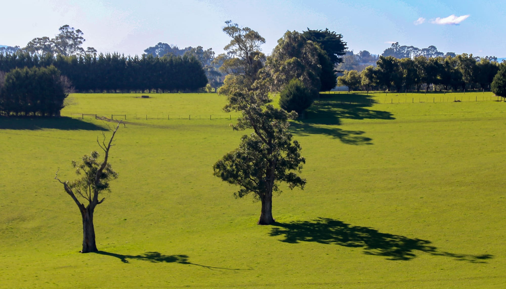 Driest winter in 19 years