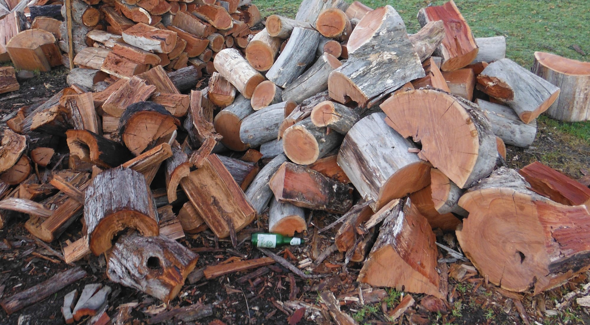 Plan ahead for firewood