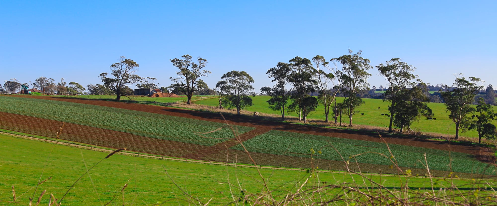 Farmers' frustration at levy