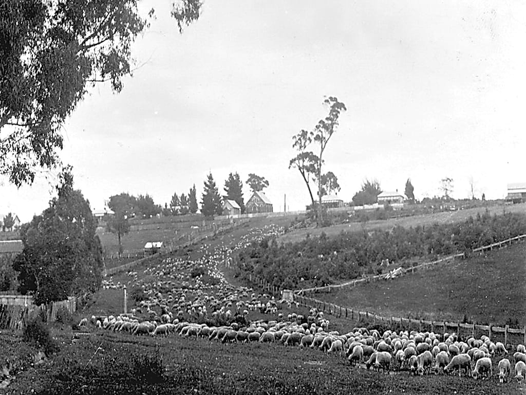 Snapshot of the past