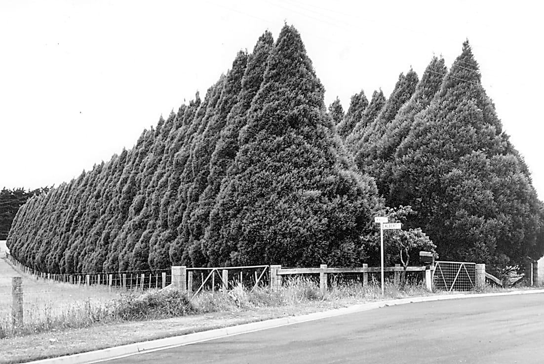 Snapshot of the past