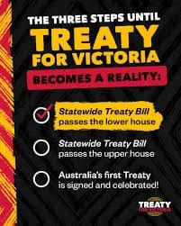 Parliament told Treaty name breached protocol