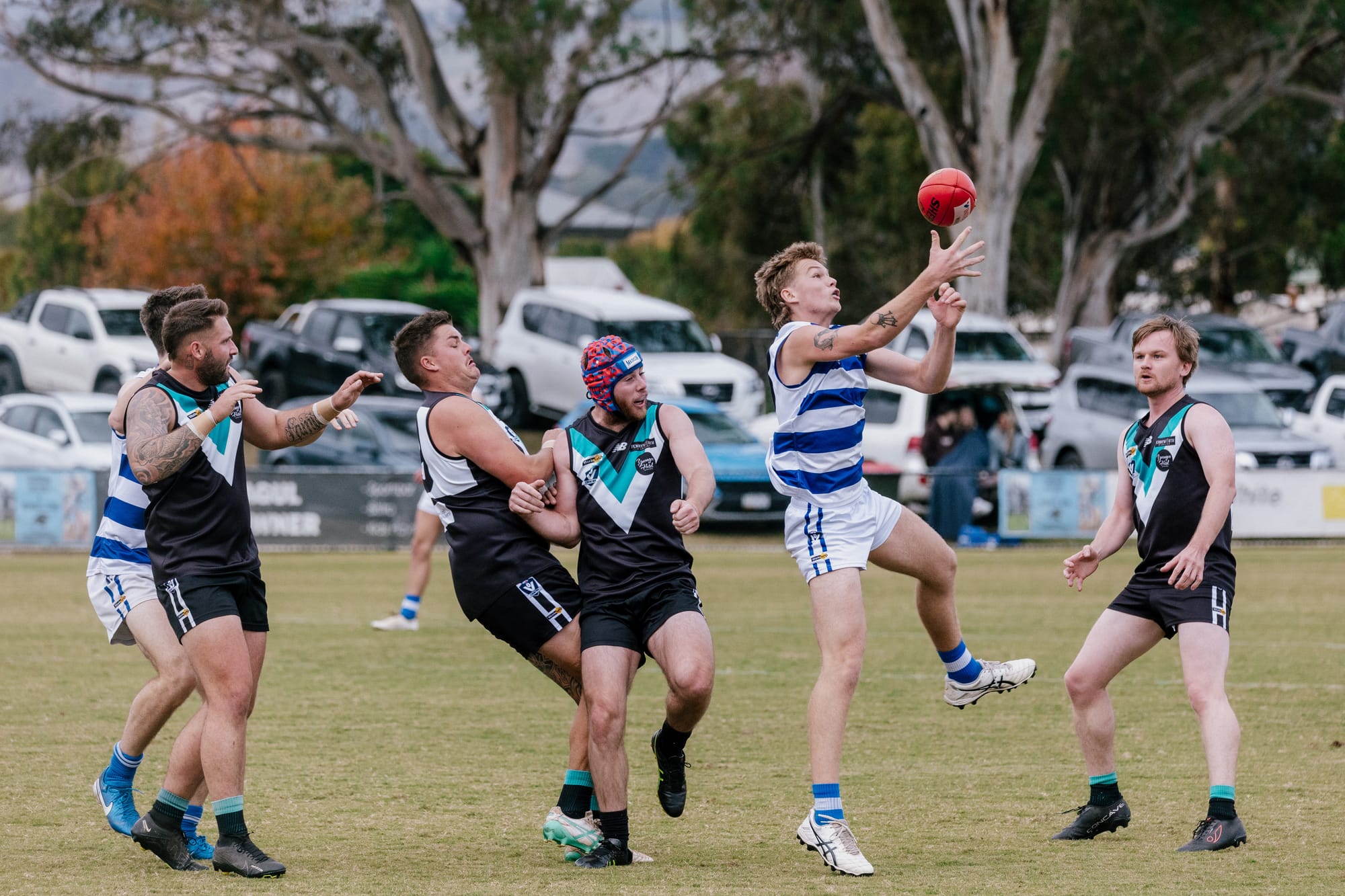 McGarrity the man as Cats cruise