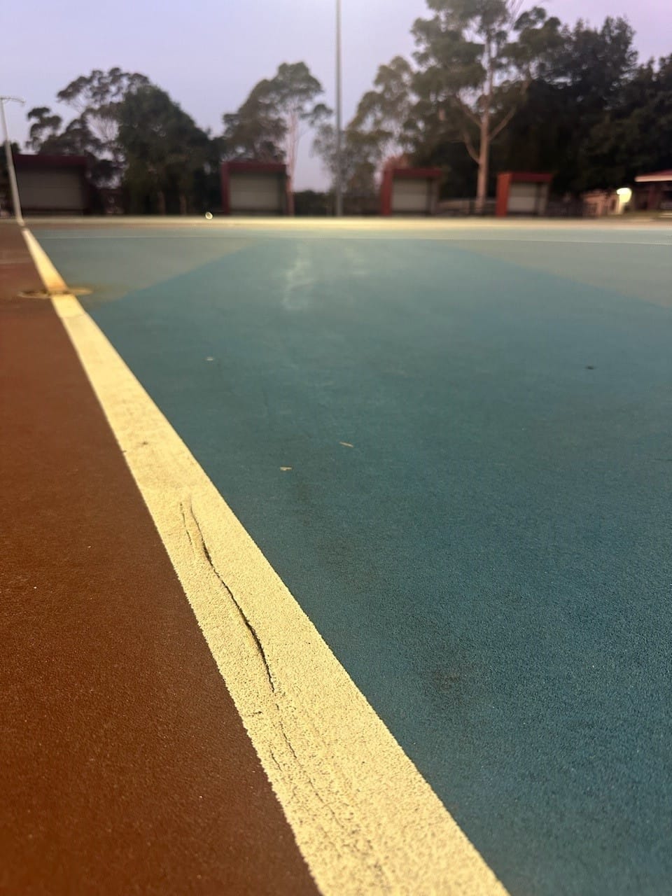 Call for netball upgrade