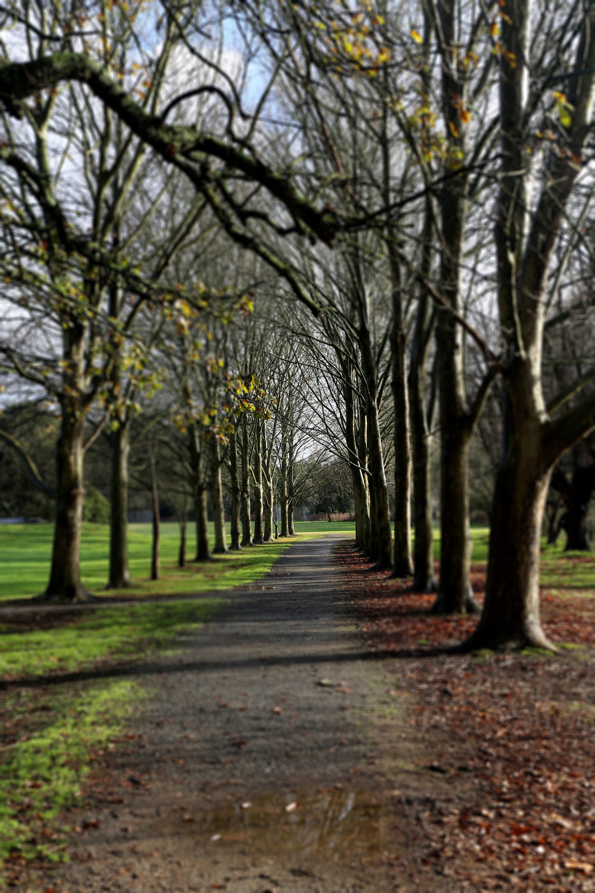 Walkable open spaces a priority