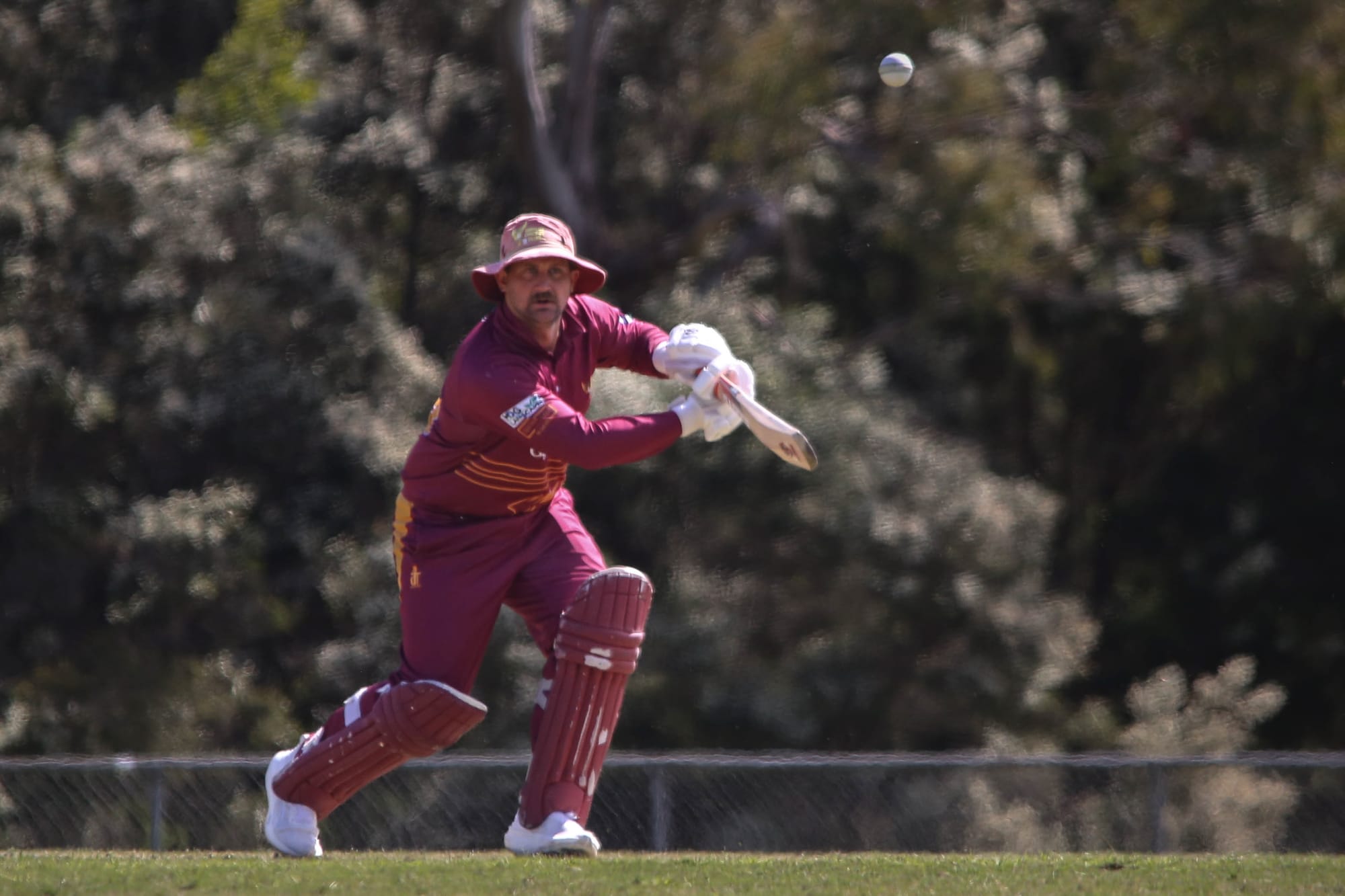 WDCA Cricket Division 1 Drouin vs Ellinbank - October 18, 2025