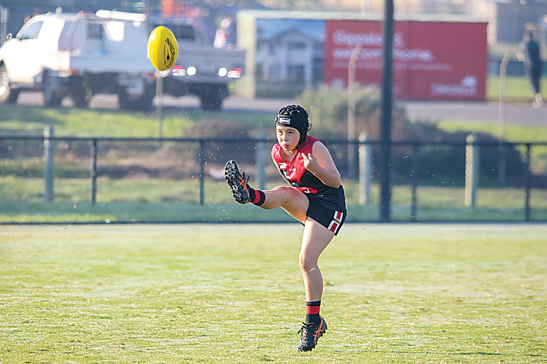 Junior Gulls soaring