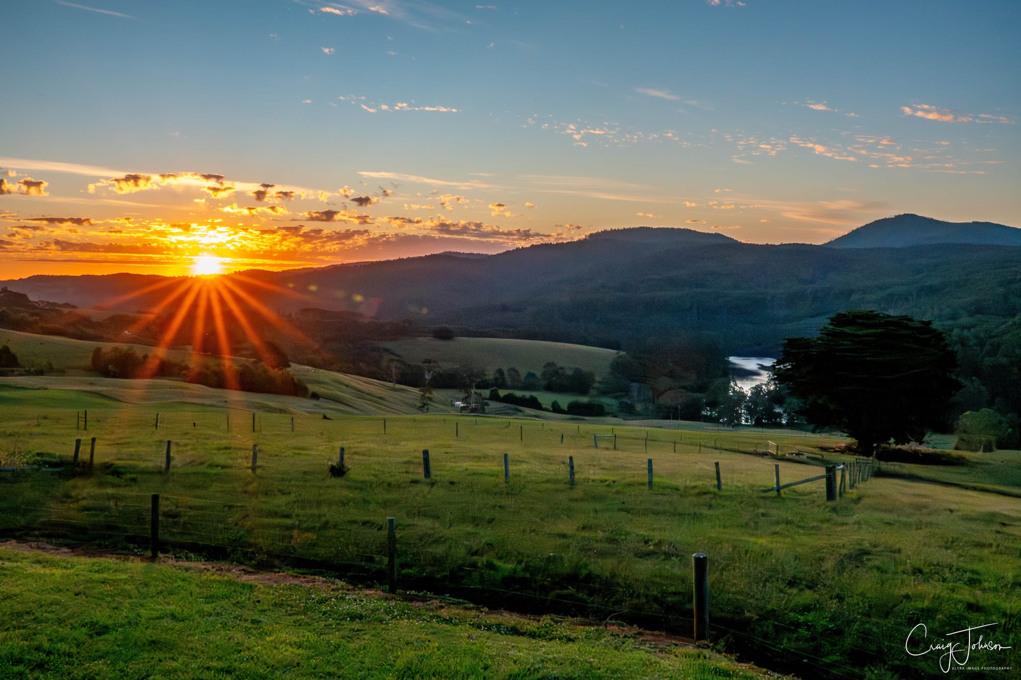 A touch of green but still dry