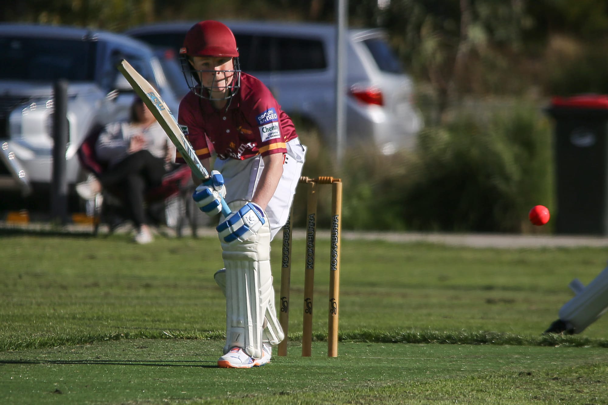WDCA Cricket: Under 17, Western Park vs Drouin, October 24, 2025