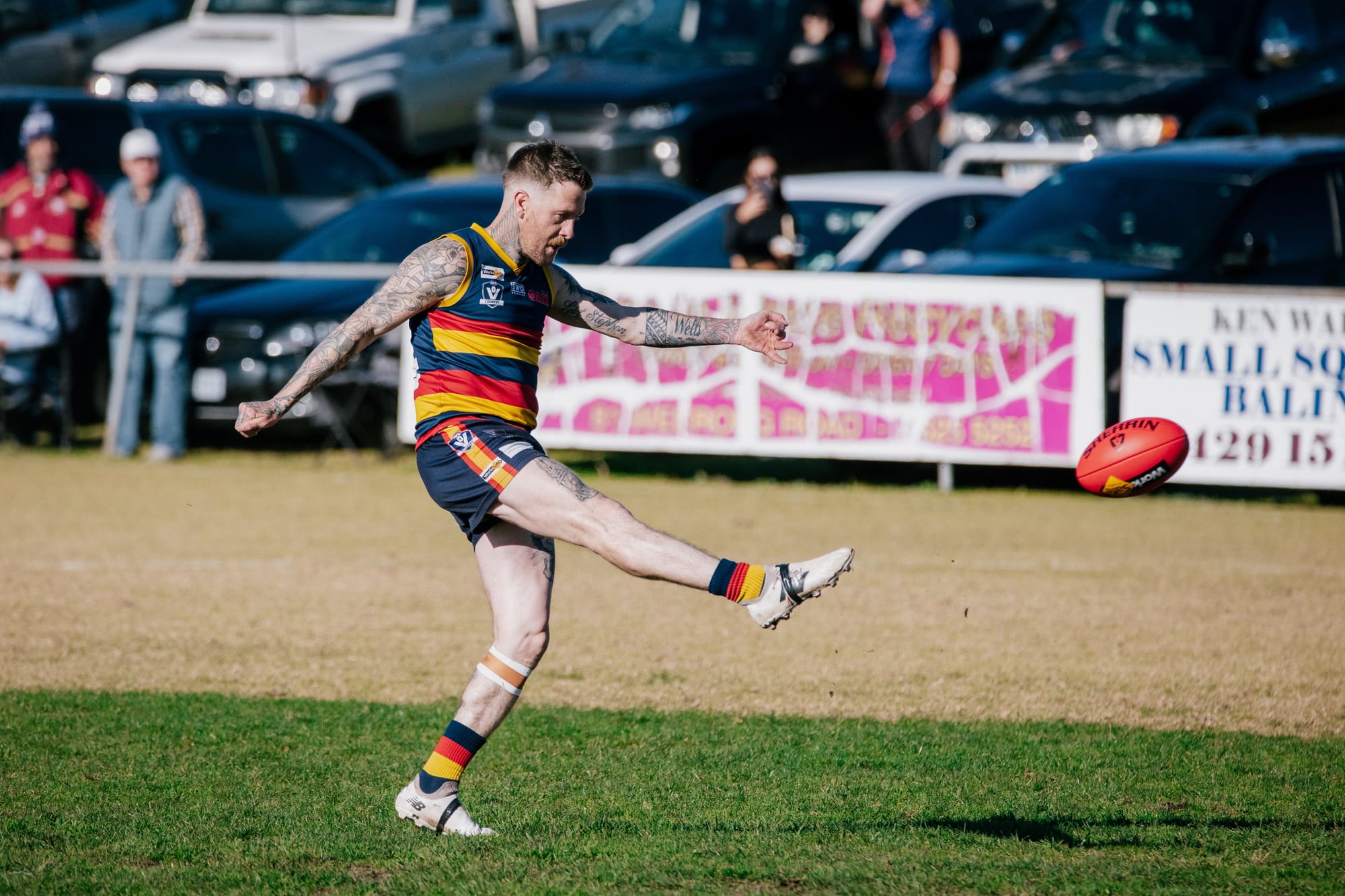 Crows fly past Tigers
