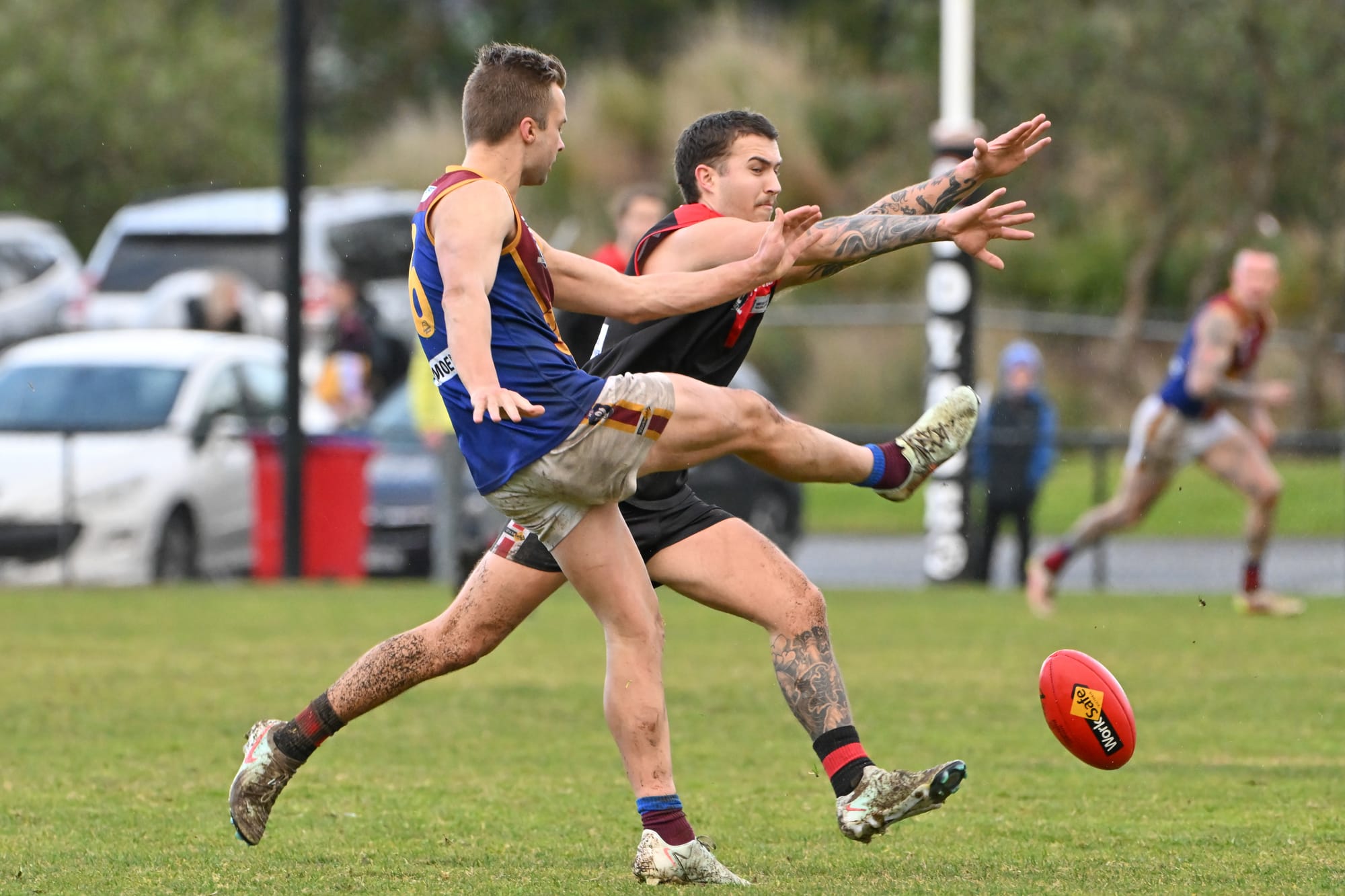 Lions use class to slip past Gulls in Gippsland League