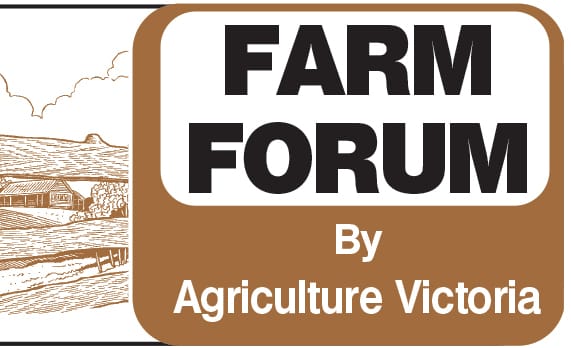 Monitor for blue-green algae in stock water