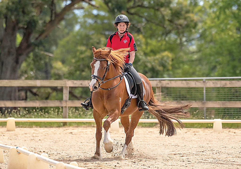 Vicki Bull from Nilma on her horse Molly got through their paces at the West Gippsland Adult Riders Club's annual dressage competition.