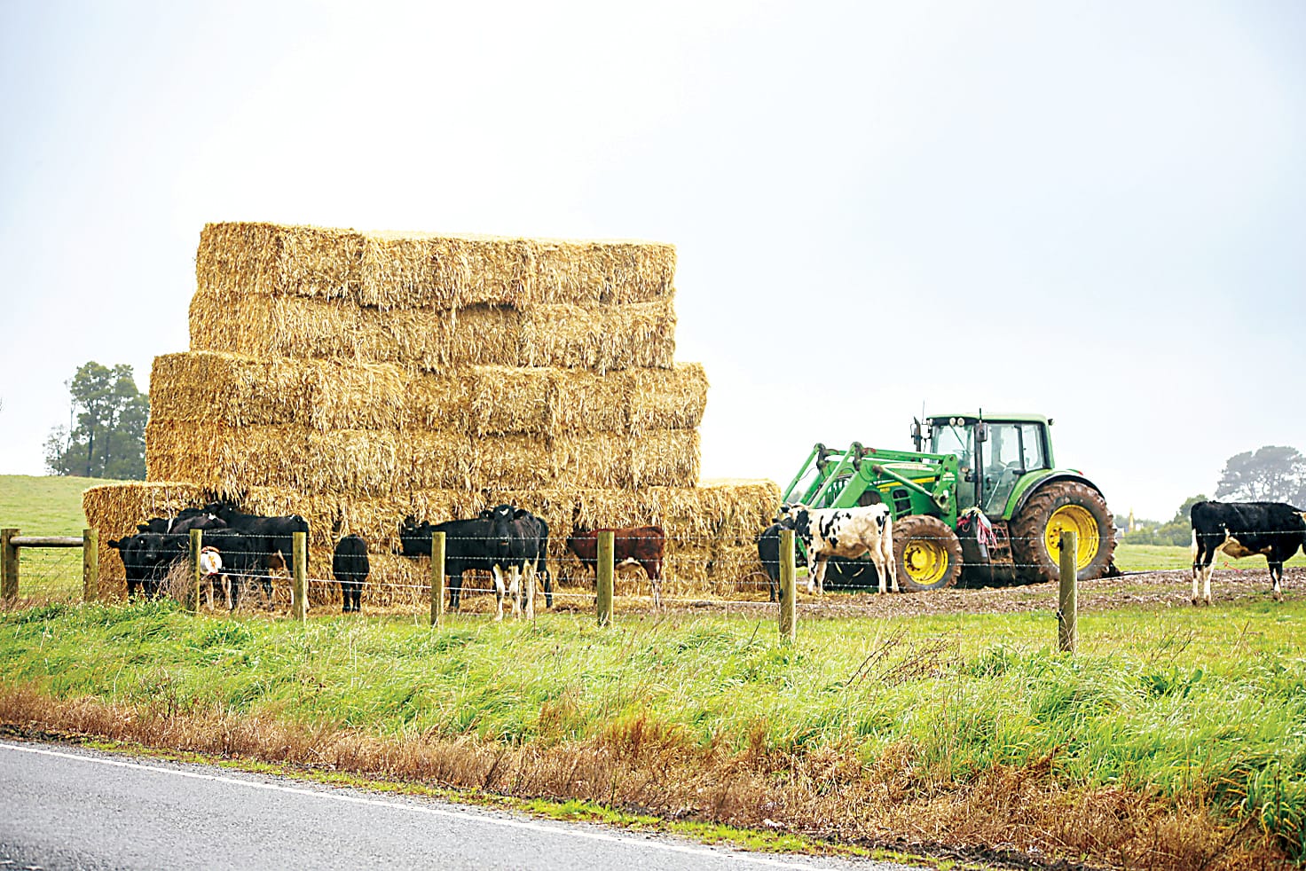 Farming experts sought for drought services
