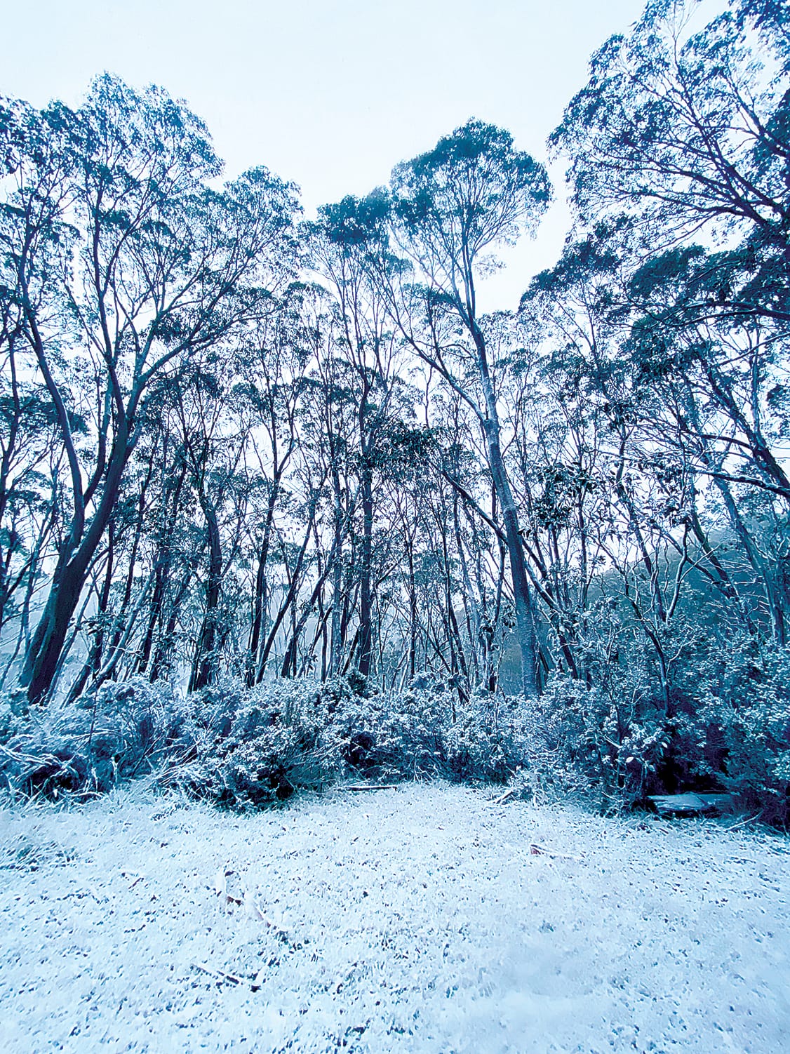 Snowfall for season opening