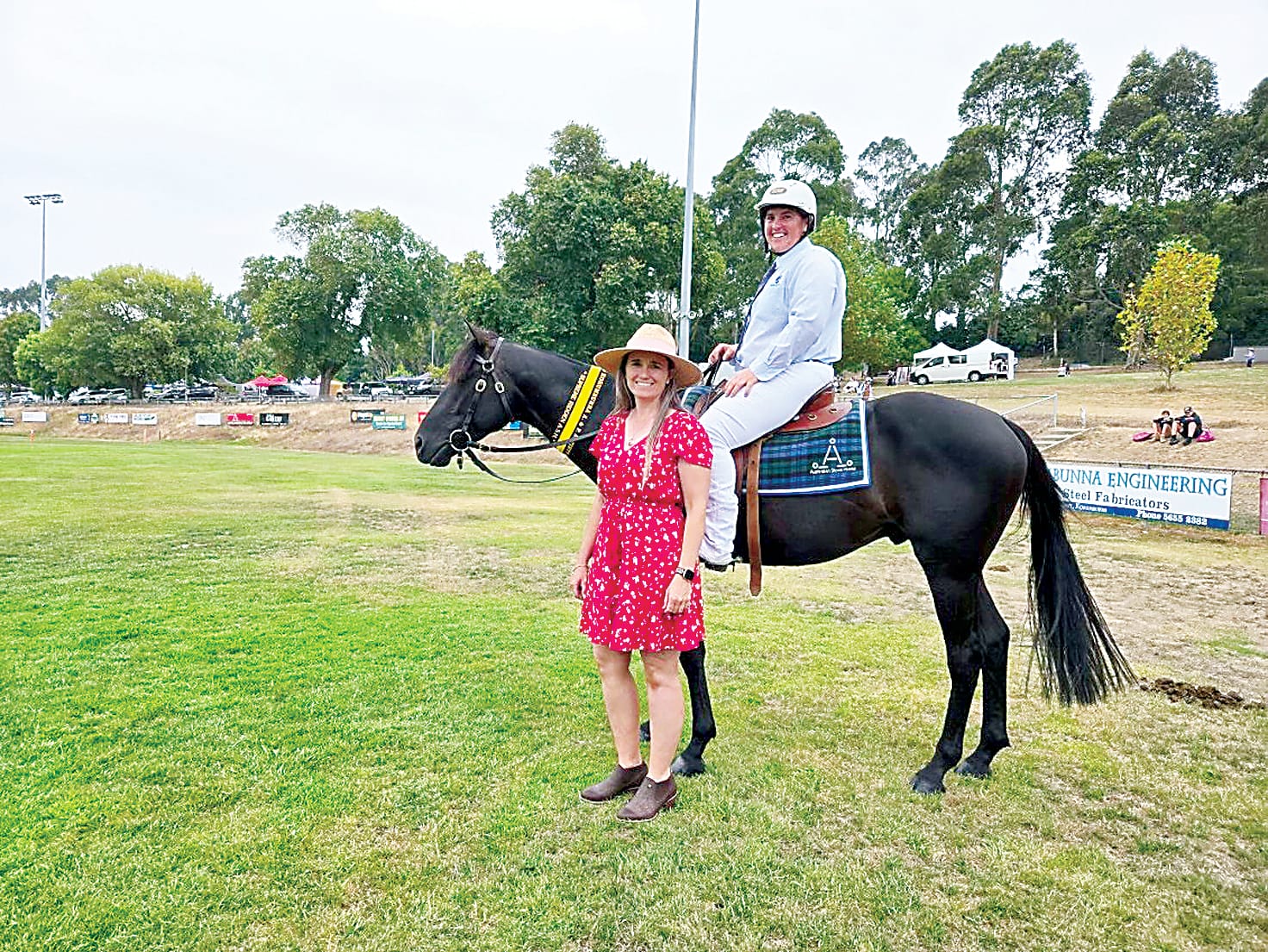 Stock horses on show