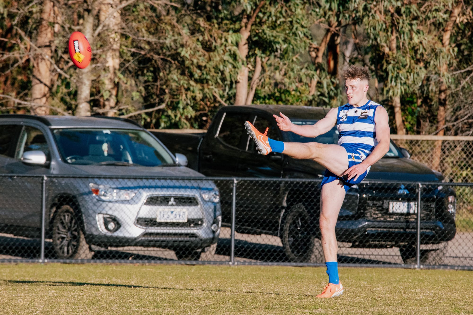 Cats aim to finish season unbeaten