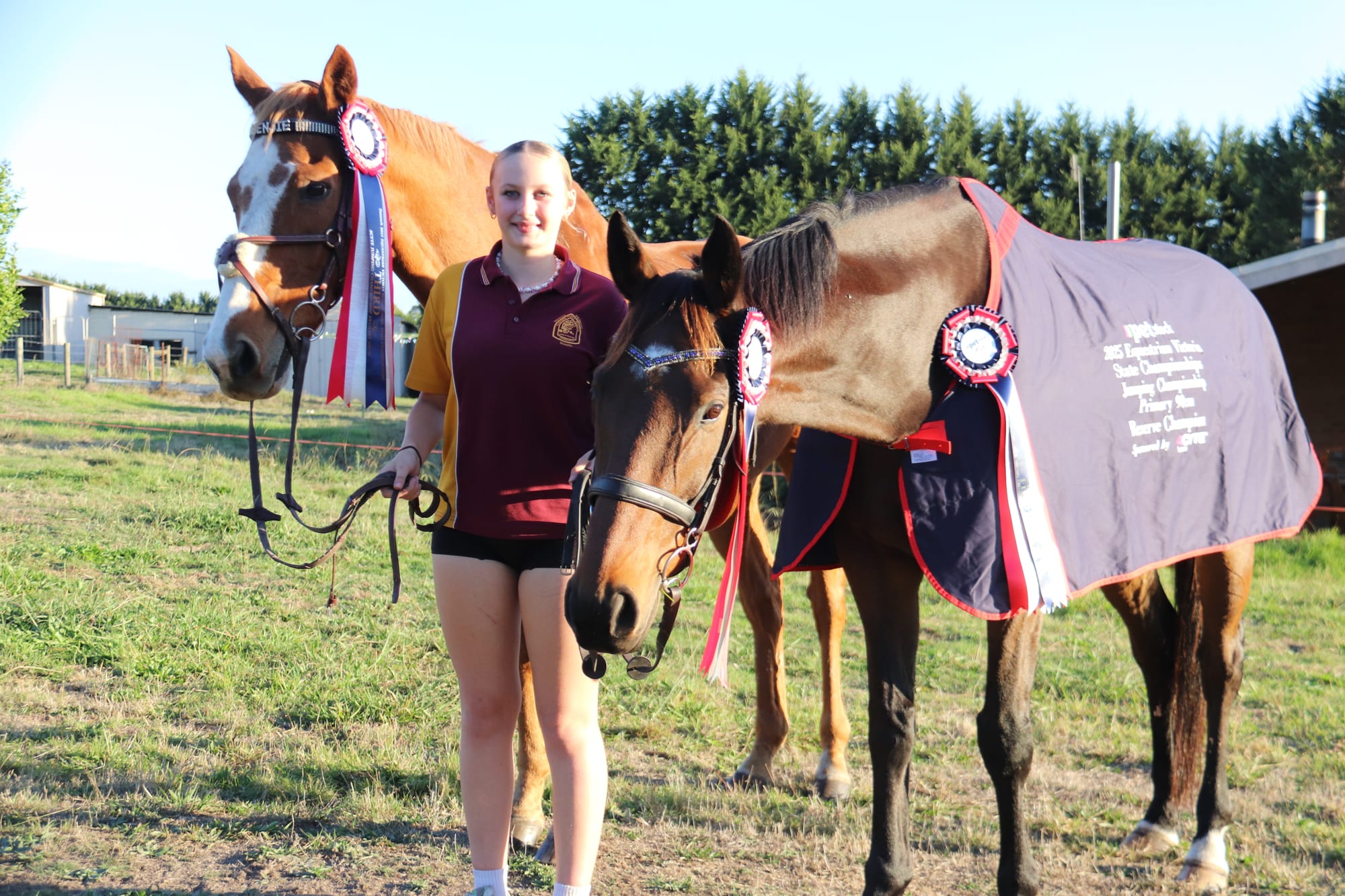 Jumping to new heights