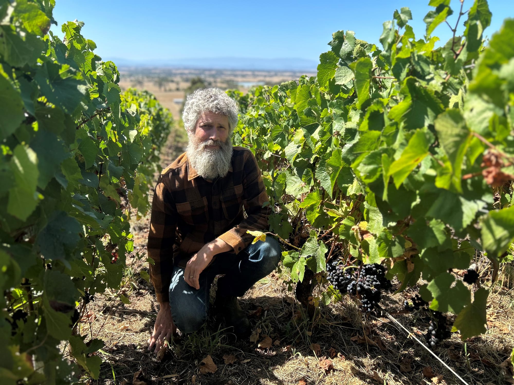 Taking wine to the world