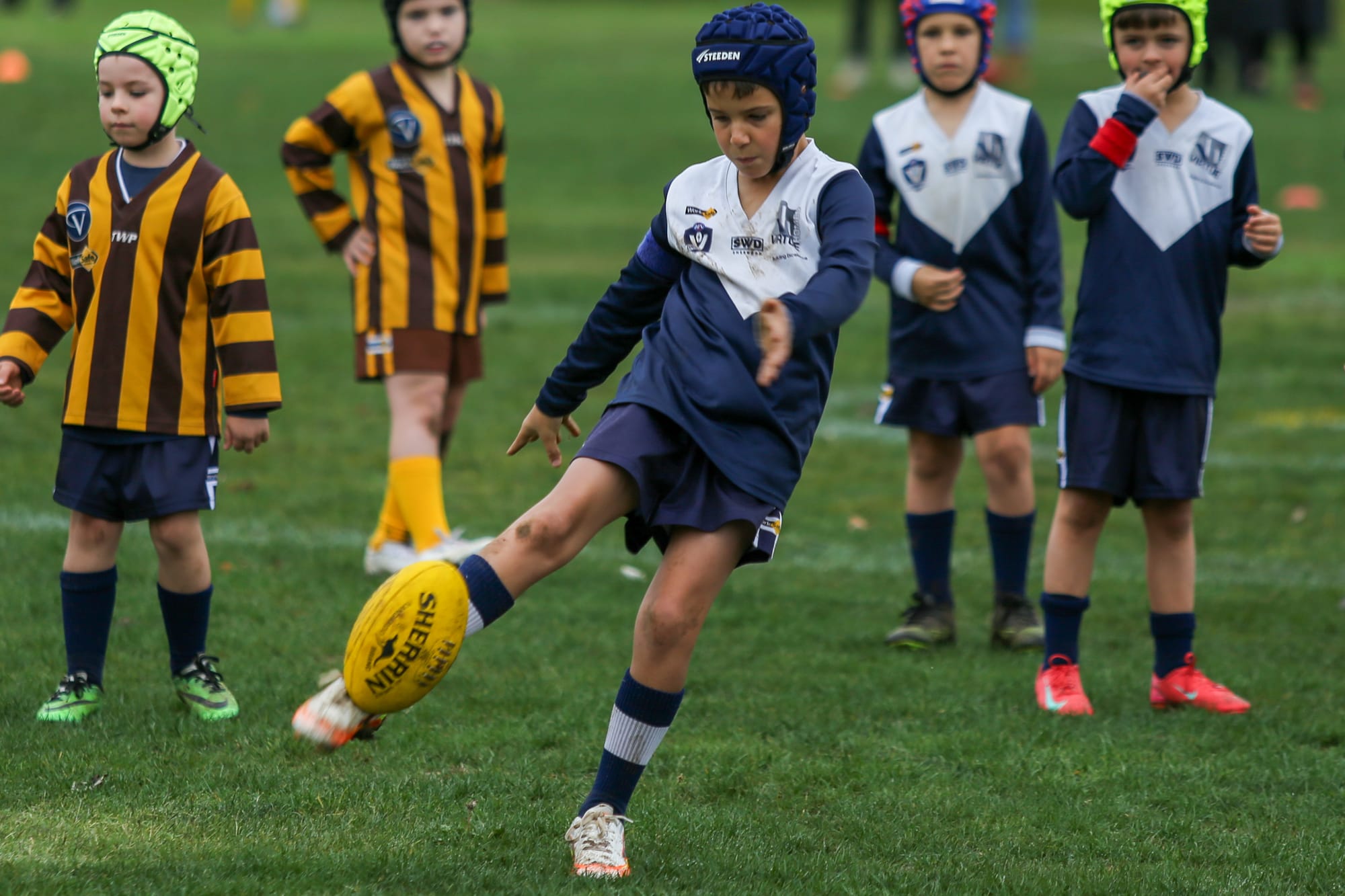 Warragul and District Junior Football League under 8s - Warranor v Blues - April 27, 2025