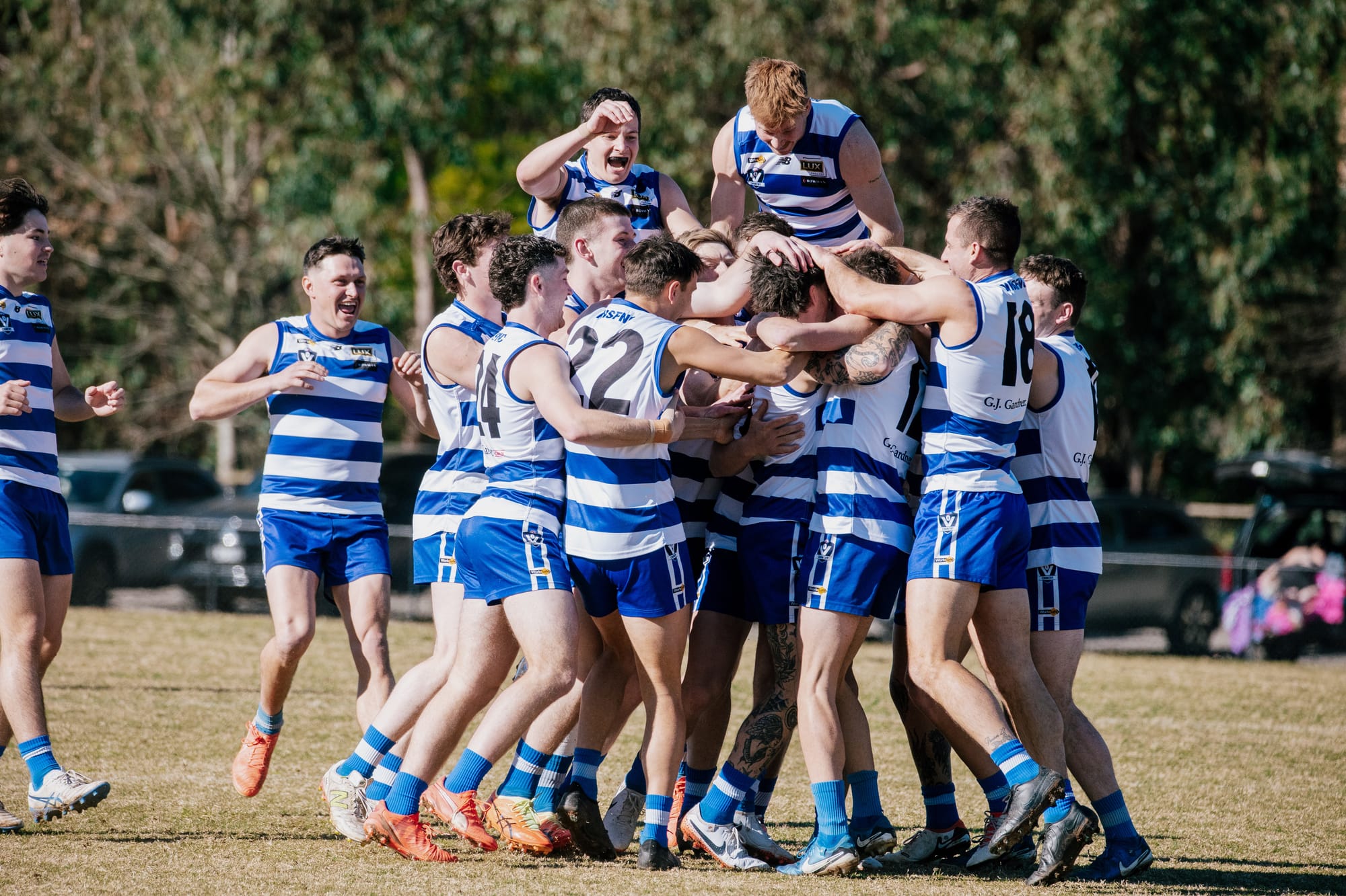 McGarrity tons up in big Cats win