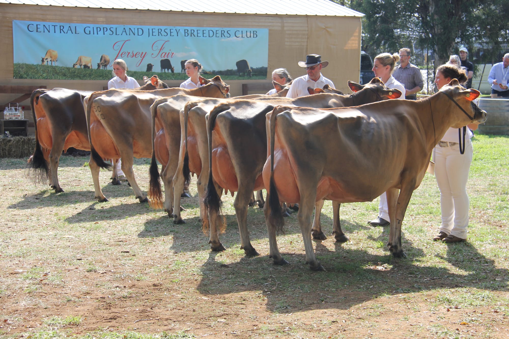 Jersey Fair - April 15, 2025