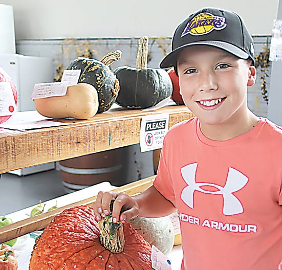 Showcase of quality in exhibition section