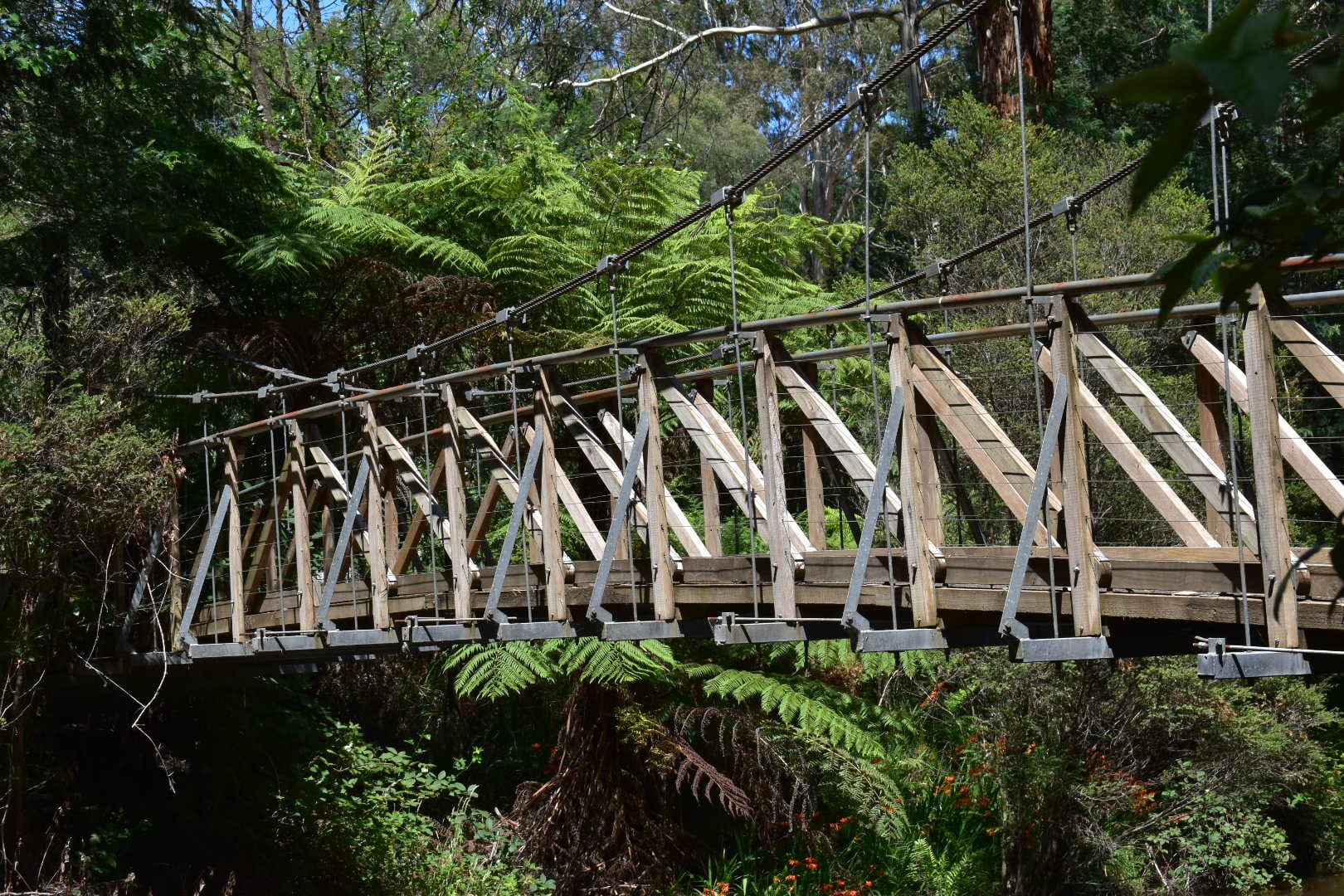 Tourism campaign launched