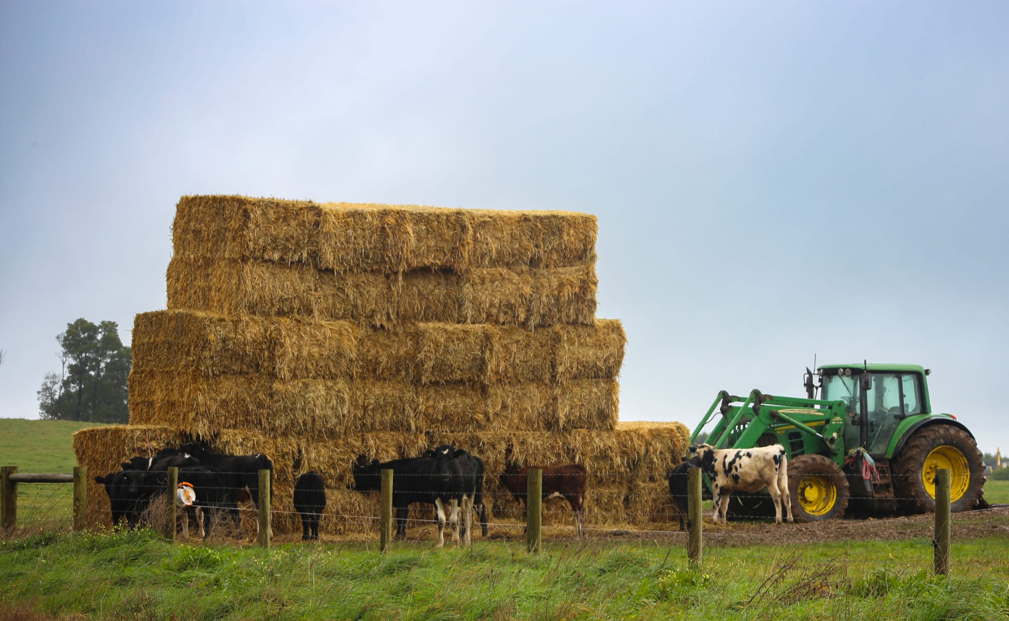 Watch for heating hay