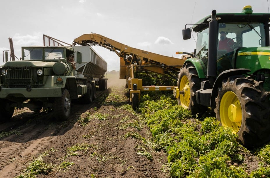 Smart farms and Ethereum: Using blockchain to boost crop yields