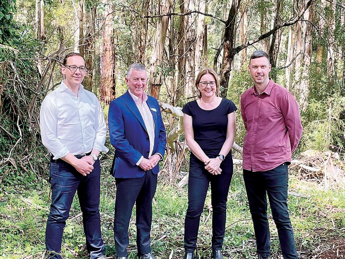 $4 million healthyforest plan for Noojee
