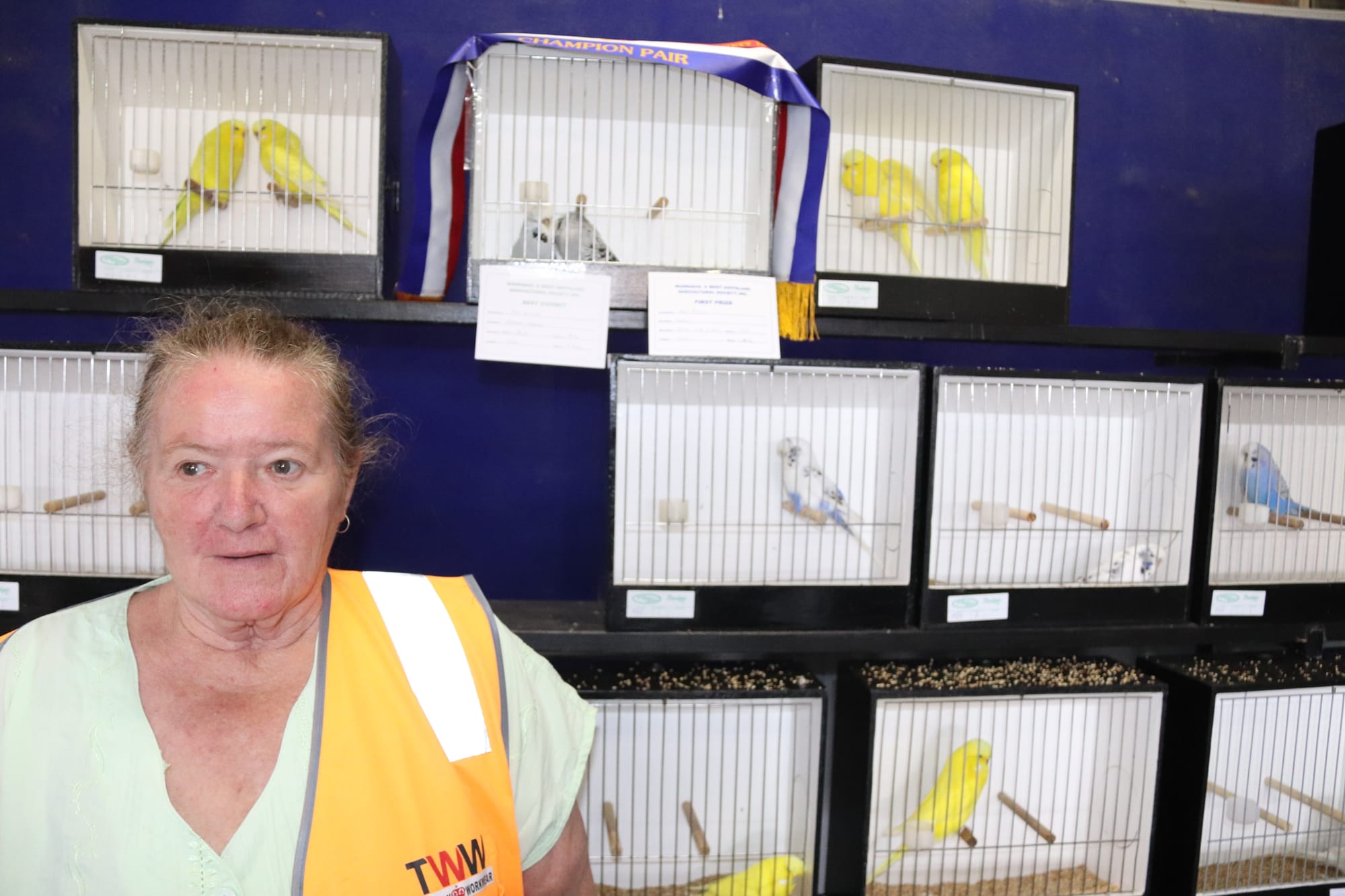 Bragging rights for proud per owners